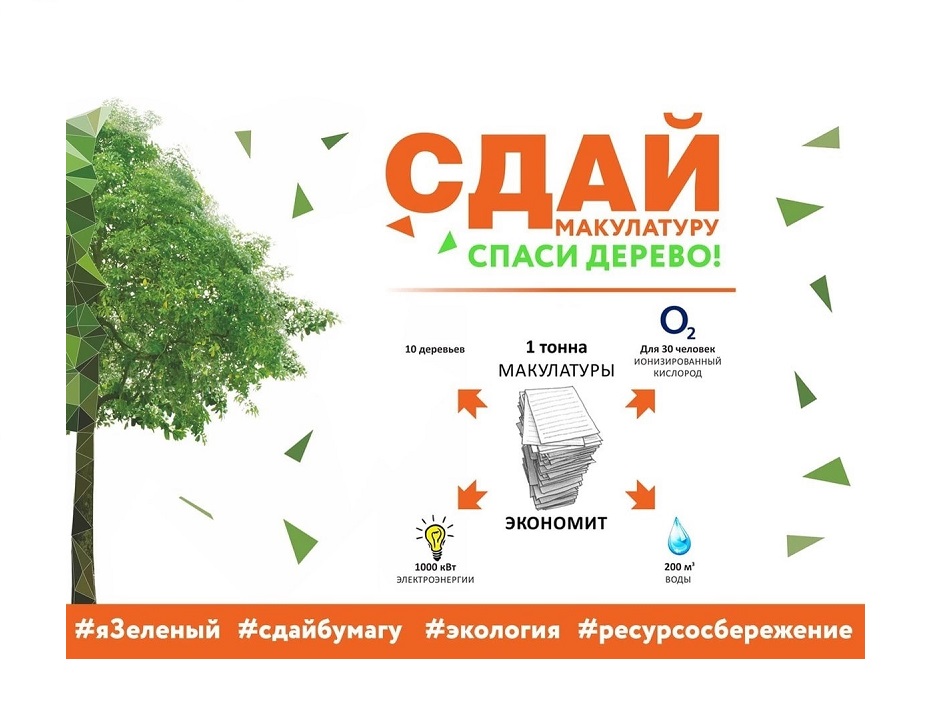 Сдай макулатуру. Спаси дерево!.